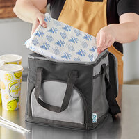 Choice Black Small Insulated Nylon Cooler Bag with Brick Cold Pack (Holds 24 Cans)