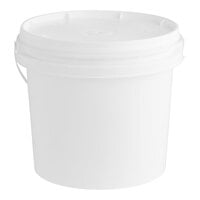 WipesPlus Empty Bucket for Disinfecting Wipes or Hand Sanitizing Wipes - 2/Pack