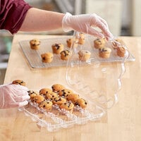 24 Compartment Clear Hinged Lid Mini Cupcake Container   - 11/Pack