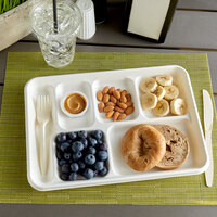 EcoChoice 12 1/2 inch x 8 1/2 inch Compostable Sugarcane / Bagasse 6 Compartment Tray - 100/Pack