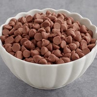 HERSHEY'S 25 lb. Milk Chocolate 1M Baking Chips