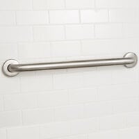 Lavex Janitorial 24 inch Handicapped Restroom Grab Bar