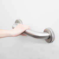 Lavex Janitorial 12 inch Handicapped Restroom Grab Bar