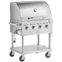 Backyard Pro C3H830DEL Deluxe 30 inch Stainless Steel Liquid Propane Outdoor Grill with Roll Dome and Vinyl Cover