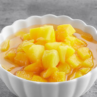 Diced Peaches in Light Syrup - #10 Can