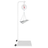 Cardinal Detecto 20 lb. Hanging Scoop Scale and Stand Kit