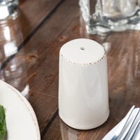 World Tableware FH-520 Farmhouse 3 inch Ivory (American White) Porcelain Salt Shaker - 36/Case