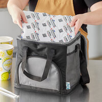 Choice Black Small Insulated Soft Cooler Bag w/Microcore Thermal Cold Pack Kit (Holds 24 Cans)