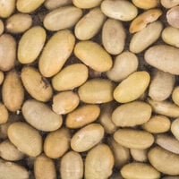Dried Mayocoba Beans - 20 lb.