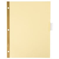 Avery® 11112 Big Tab Buff Paper 8-Tab Clear Insertable Dividers