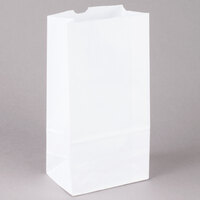 6 lb. White Paper Bag - 500/Bundle