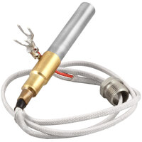 Wells 2T-42195 Thermopile Fgs-40