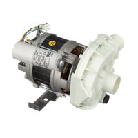 Electrolux 0L0419 Wash Pump