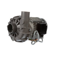 Champion 114347 Pump/Motor Assembly,208-240v/46