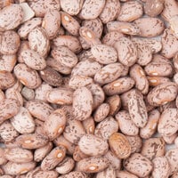 Dried Pinto Beans - 20 lb.