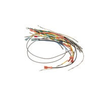 Pitco B6713901-C Wiring Harness (18 Wks)