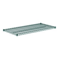 Regency 24" x 48" NSF Green Epoxy Wire Shelf