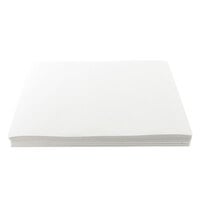 Giles 60819 16 1/4 inch x 24 inch Filter Paper for WOG-MP Series - 100/Pack