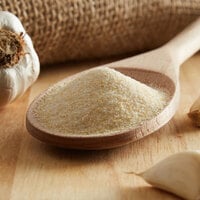 Regal Bulk Garlic Salt - 25 lb.