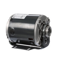 Multiplex 5009598 Pump Motor
