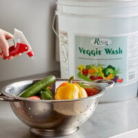 Regal Veggie Wash - Fruit and Vegetable Wash - 5 Gallon Pail