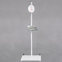 Cardinal Detecto 40 lb. Hanging Scoop Scale with Dual-Faced Dial and Portable Stand