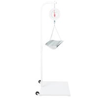 Cardinal Detecto 40 lb. Hanging Scoop Scale with Portable Stand