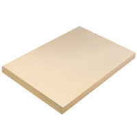 Pacon 5114 18 inch x 12 inch Heavy Weight Manila Tagboard   - 100/Pack