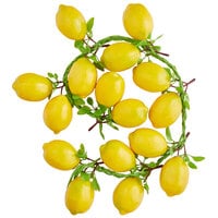 Decorative Lemons on a 34 inch Rope