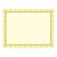 Southworth CTP2V Premium Certificates 8 1/2 inch x 11 inch Ivory Pack of 66# Certificate Paper with Spiro Gold Foil Border - 15 Sheets