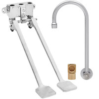 Fisher 73409 Backsplash Mounted Hand Washing Faucet with 6 inch Rigid Gooseneck Nozzle, 0.35 GPM PCA Spray Aerator, Dual Foot Valves, and Elbow