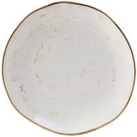 Tuxton GGA-006 TuxTrendz Artisan Geode Agave 10 1/4 inch China Plate - 12/Case