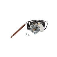 Eurocave 2494001 Thermostat