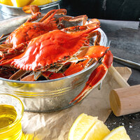 Linton's 6 1/2 inch Live Jumbo Maryland Blue Crabs - 12/Case