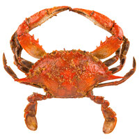 Linton's 5 1/4 inch Medium Seasoned Steamed Medium Maryland Blue Crabs - 42/Case