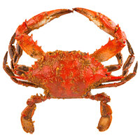 Linton's 5 3/4 inch Medium Seasoned Steamed Large Maryland Blue Crabs - 12/Case