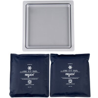 Frilich RB560 13 inch Square Plastic Cooling Plate Display Set