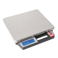 Taylor TE250 250 lb. Digital Receiving Scale with Built-In Handle