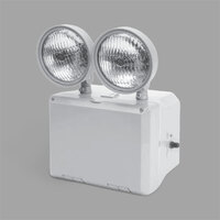Lavex Industrial Wet Location Cold Weather-Ready Remote Capable Dual Head LED Gray Emergency Light with Battery Backup