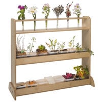 Whitney Brothers WB2450 Nature Shelf - 34 inch x 12 inch x 30 inch