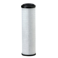 Everpure EV910817 CG5-10S 10 inch Drop-In Replacement Filter Cartridge - 5 Micron Rating and 1.7 GPM