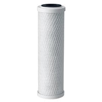 Everpure EV910857 CG53-10S 10 inch Replacement Filter Cartridge - Submicron Rating and 2 GPM