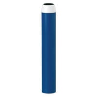 Everpure EV910833 CGT-20S 20 inch Drop-In Replacement Filter Cartridge - 20 Micron Post-Filter and 1 GPM