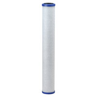 Everpure EV910825 CG5-20 20 inch Replacement Filter Cartridge - 5 Micron Rating and 3.3 GPM