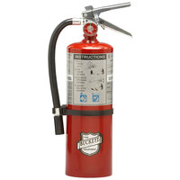 Buckeye 5 lb. Standard Dry Chemical Fire Extinguisher with Wall Mount - Rechargeable Untagged - UL Rating 40-B:C