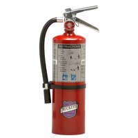Buckeye 5 lb. Purple K Fire Extinguisher with Fixed Nozzle - Rechargeable Untagged with Wall Mount - UL Rating 10-B:C