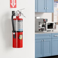 Buckeye 5 lb. ABC Dry Chemical Fire Extinguisher - Rechargeable Untagged with Wall Mount - UL Rating 3-A:40-B:C