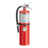 Buckeye 10 lb. ABC Dry Chemical Fire Extinguisher - Rechargeable Untagged with Wall Mount - UL Rating 4-A:80-B:C