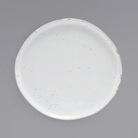 Front of the House DDP068BEP21 Artefact 11" Ash Round Porcelain Plate - 4/Case