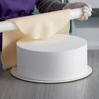 Baker's Mark 12 inch x 5 inch Foam Round Cake Dummy